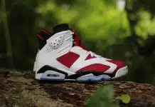 Jordan 6