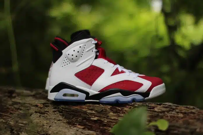 Jordan 6