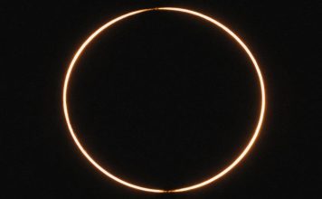 Sérum anti cerne : votre allié contre les signes de fatigue